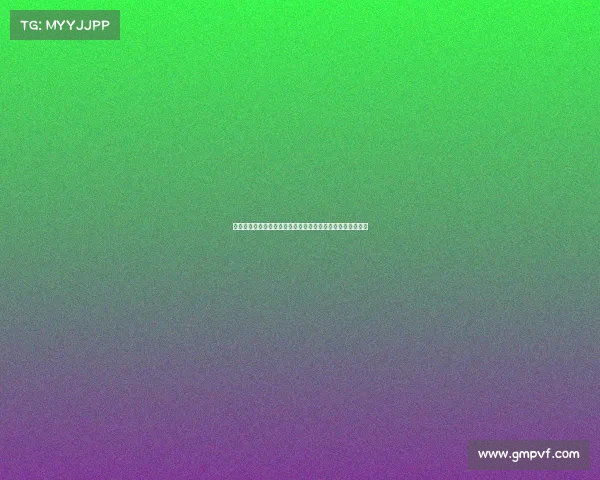 宁波国际赛车场年度盛大赛事全球顶尖车手激情竞速巅峰对决